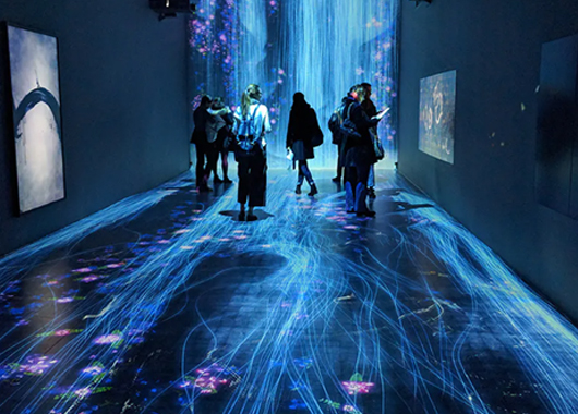 沉浸式投影在展館展廳的應(yīng)用場(chǎng)景